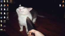 137