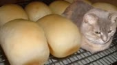 344