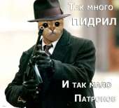 65
