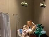 6053