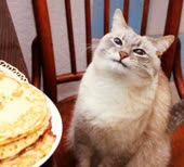 9543