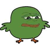 41