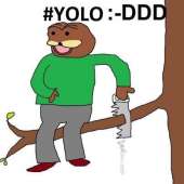 20