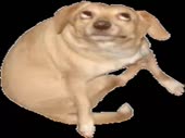 1297