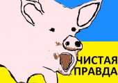 65