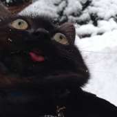 262