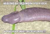 79