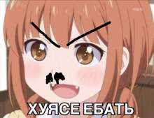 313