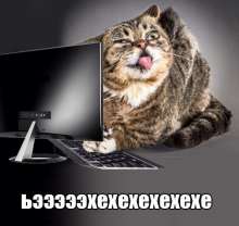 89