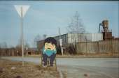 53