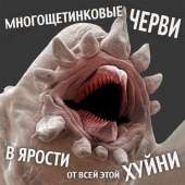 53