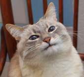 139