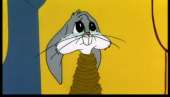 79