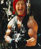 43