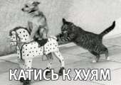 54