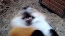 341