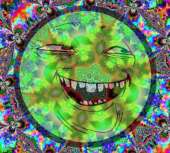 223