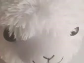 3914