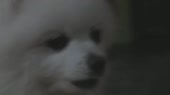 9653