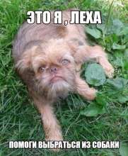 89