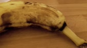 3055