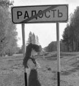 58