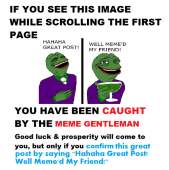 204