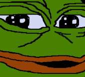 43