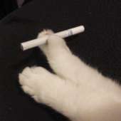 43