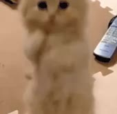 126