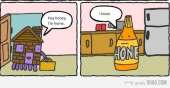 48
