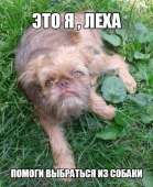 94