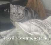 76