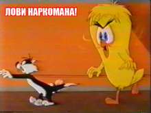 187