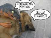 75