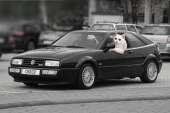 203