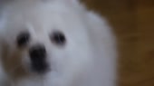 5191