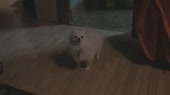 831
