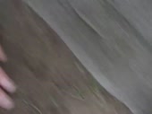 1356