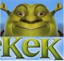 46