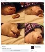 659