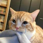 56