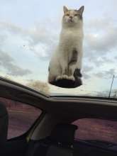194