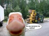 75