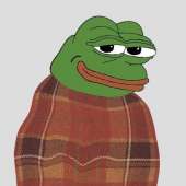 41