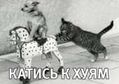 59