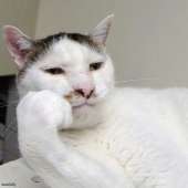 48