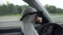 1567