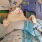 545