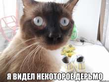 80